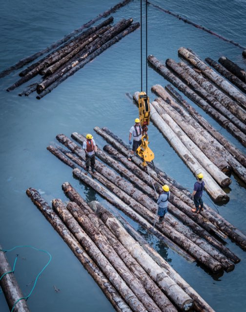 Men working on sorting and transporting forest products in the water.