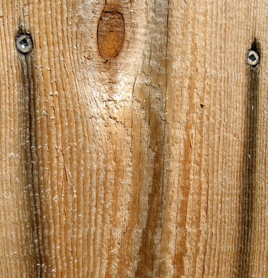 Close up up the texture of a cedar panel