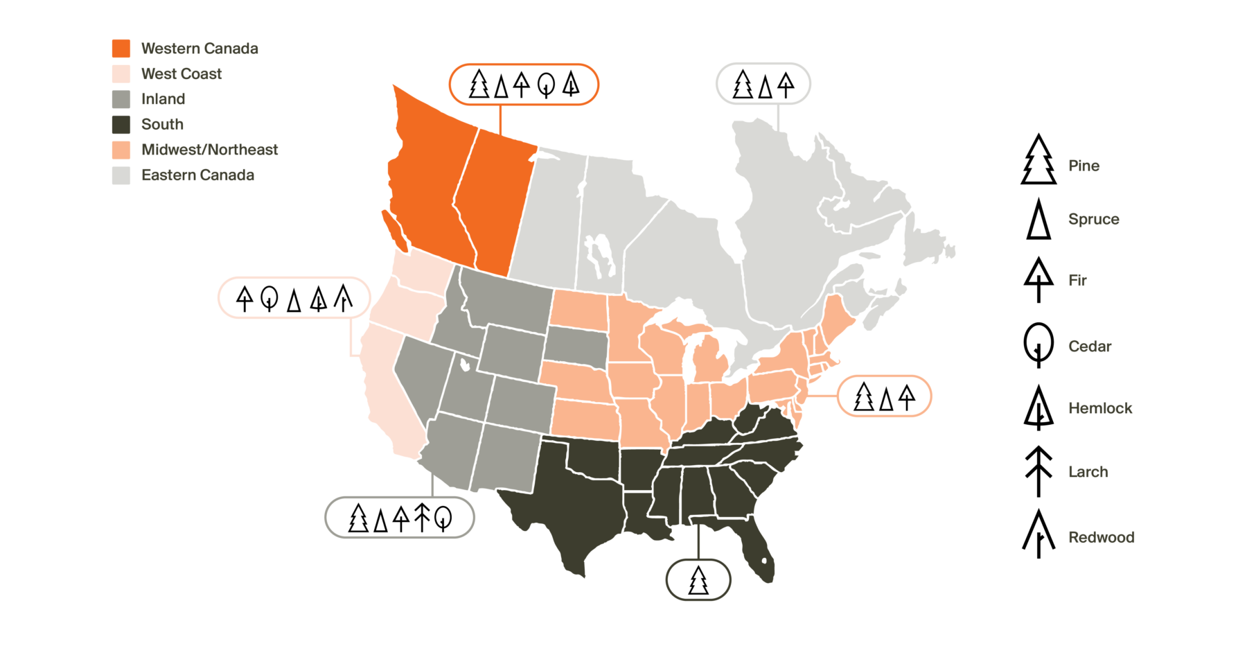 A Map of North American Softwood Species Map of North America illustrating where different species of softwood grow: Western Canada has Pine, Spruce, Fir, Cedar and Hemlock. Eastern Canada has Pine, Spruce and Fir. The West Coast has Fir, Cedar, Spruce, Hemlock and Redwood. Inland has Pine, Spruce, Fir, Larch and Cedar. South has Pine and The Midwest/Northeast has Pine, Spruce and Fir.