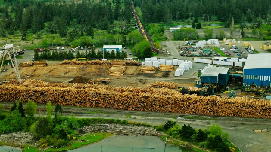 Drone photo of a lumber mill near a forest edge