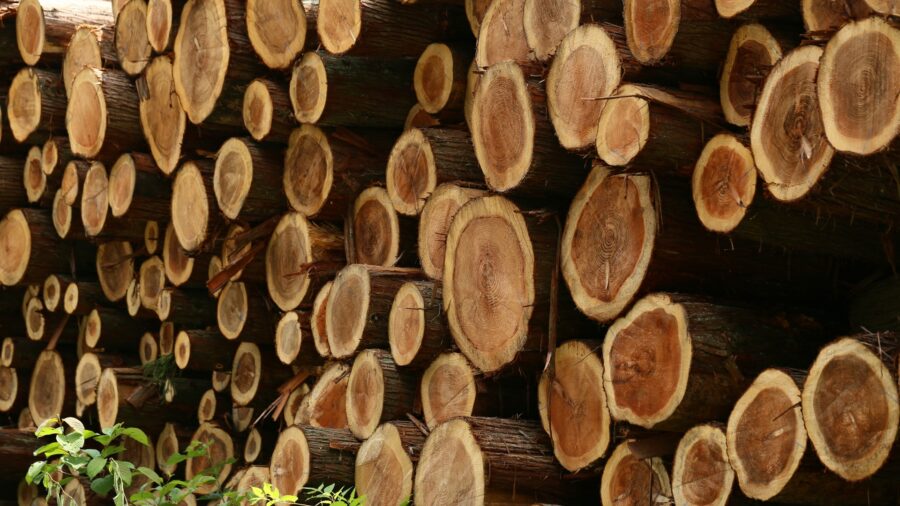 Large cedar logs stacked on top of each other